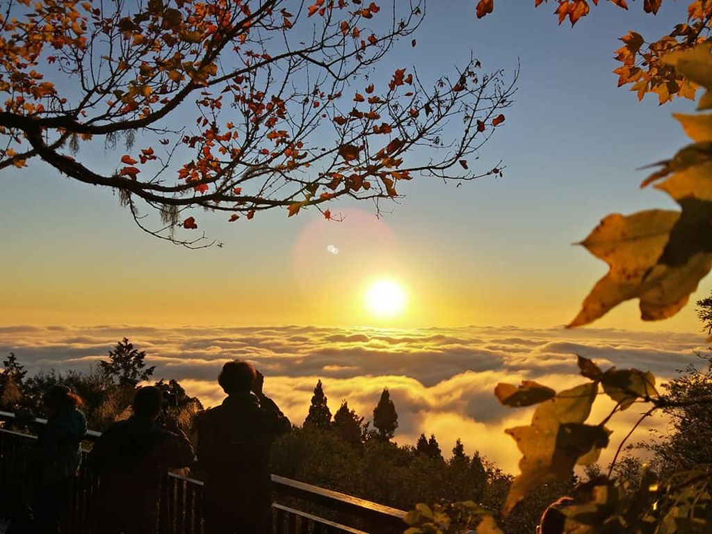 雲海7
