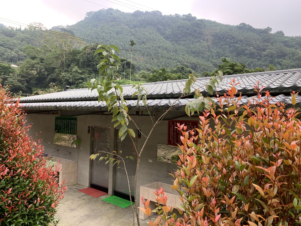 長紅木區5