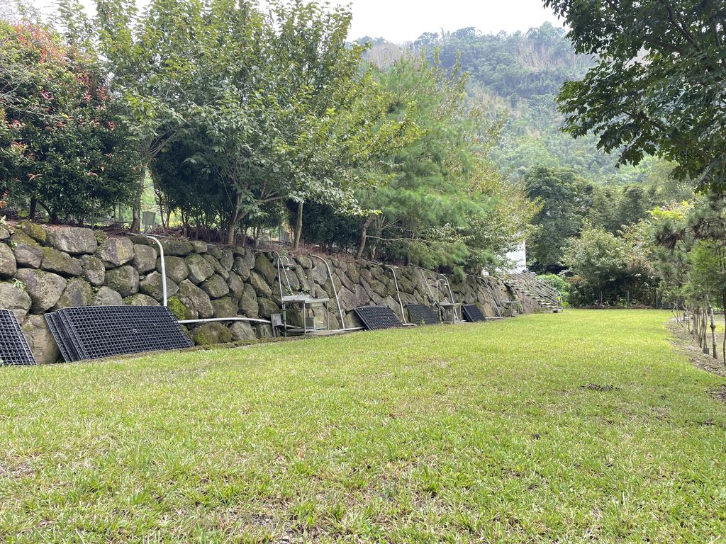 黑松樹區4