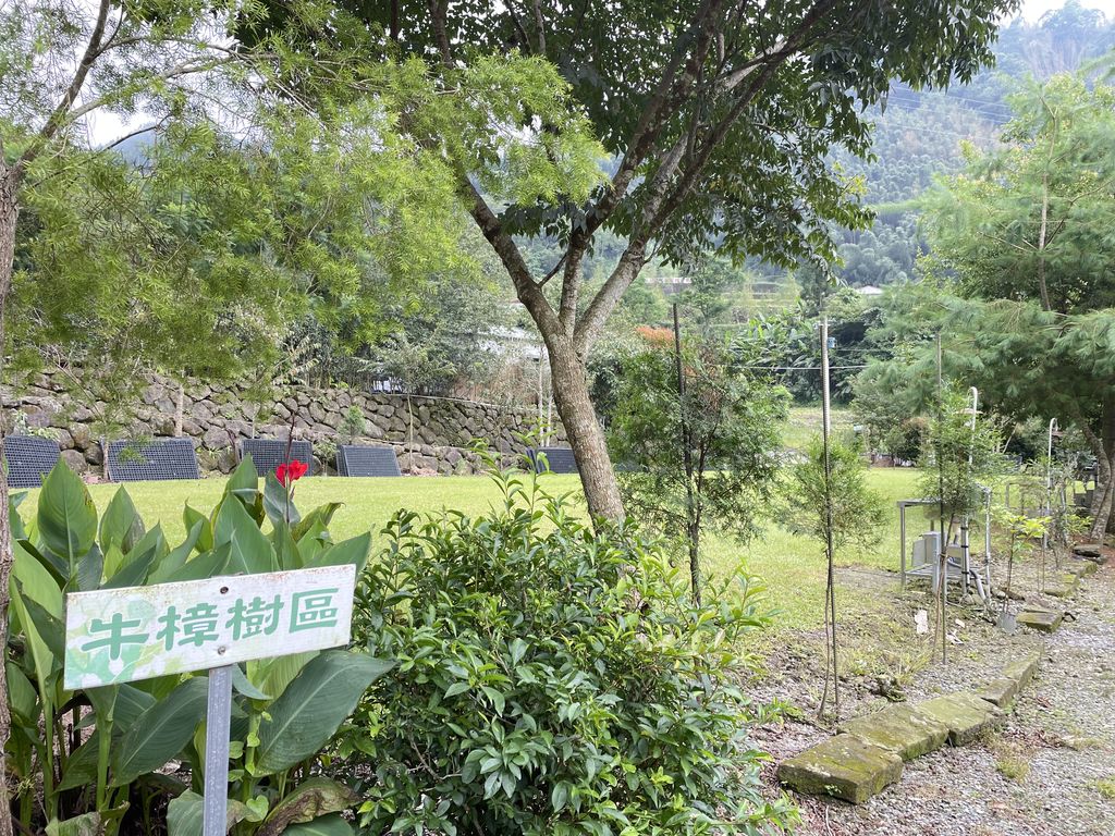 牛樟樹區3