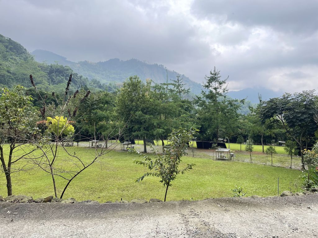 牛樟樹區5