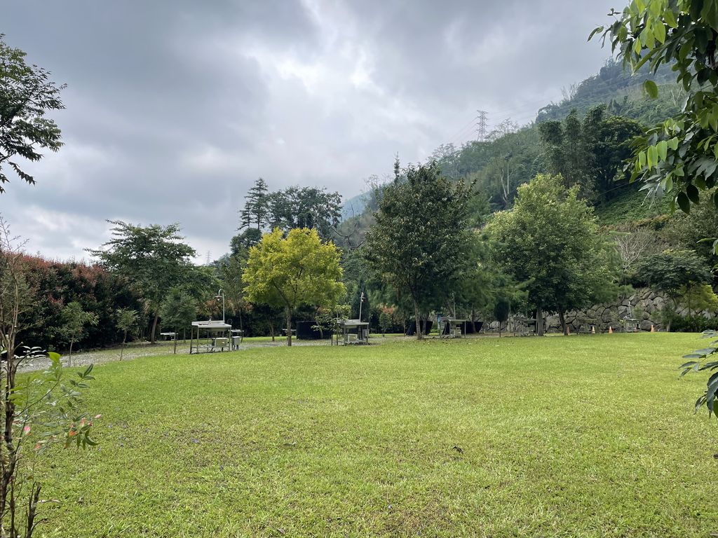 牛樟樹區6