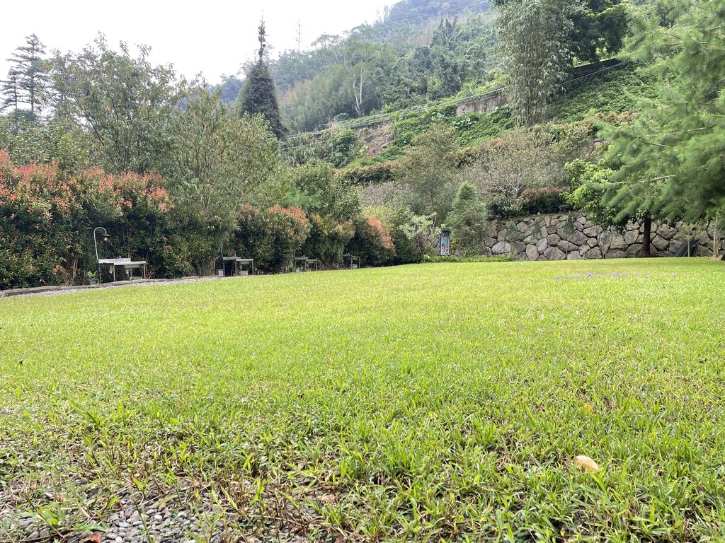 長紅木區2