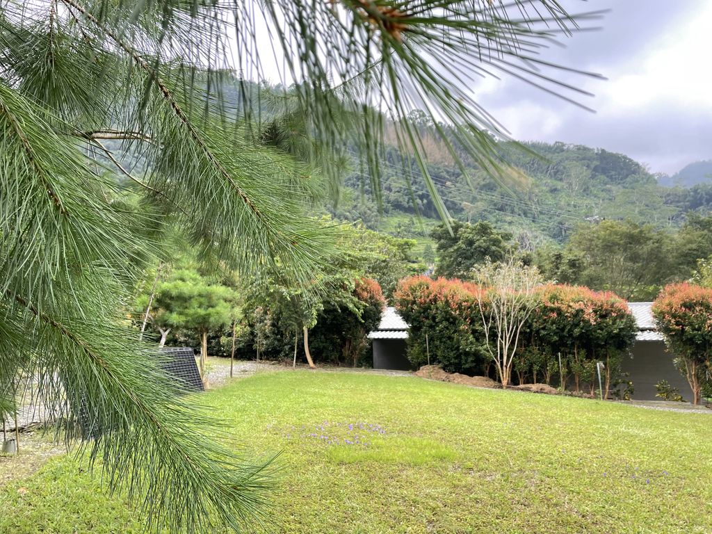 長紅木區4
